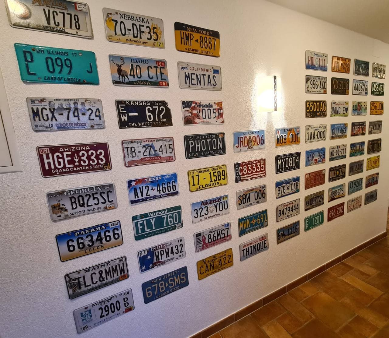 Lange Wand mit zahlreichen historischen Nummernschildern aus verschiedenen Ländern und US-Bundesstaaten.