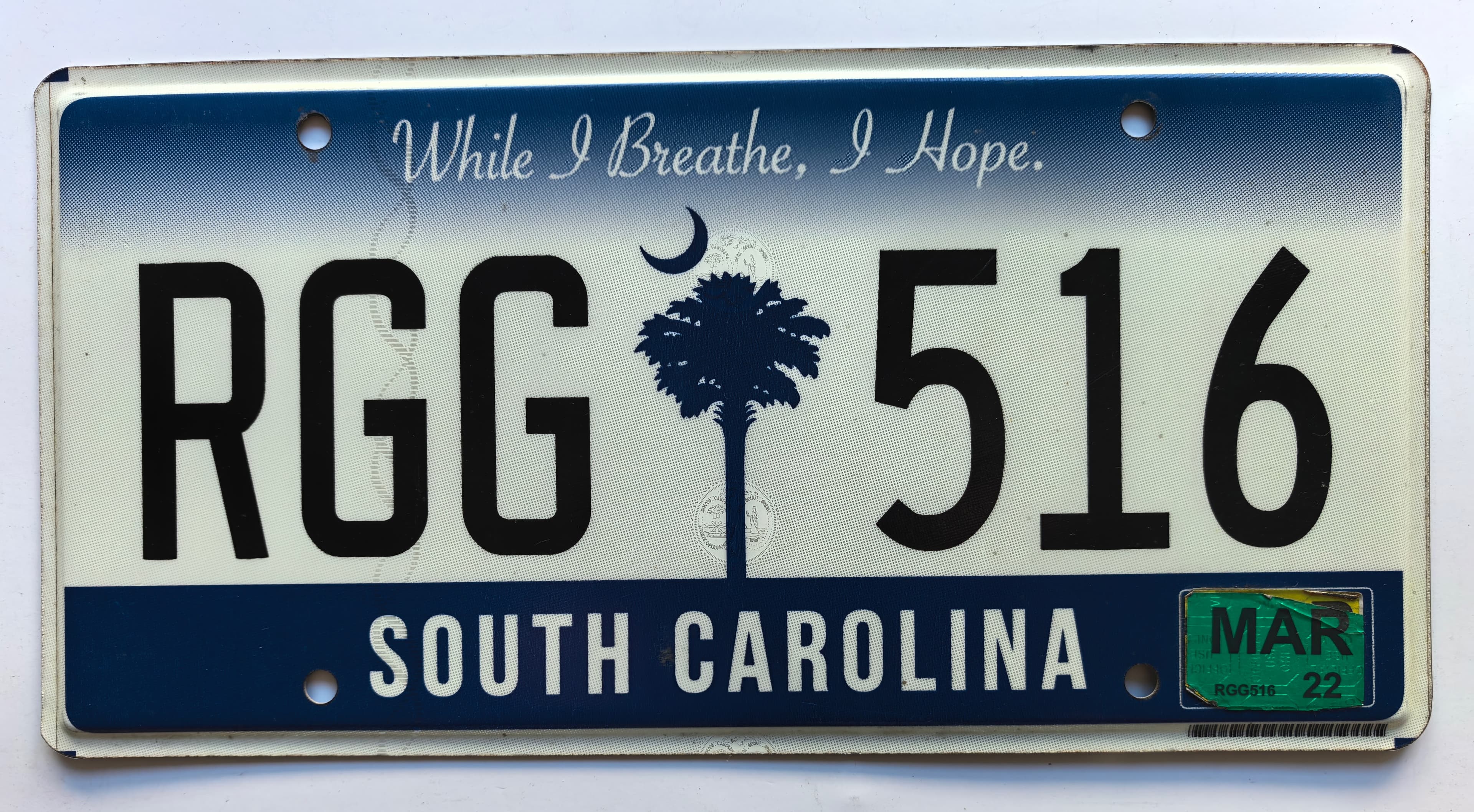 USA Kennzeichen - South Carolina - RGG 516, view 1