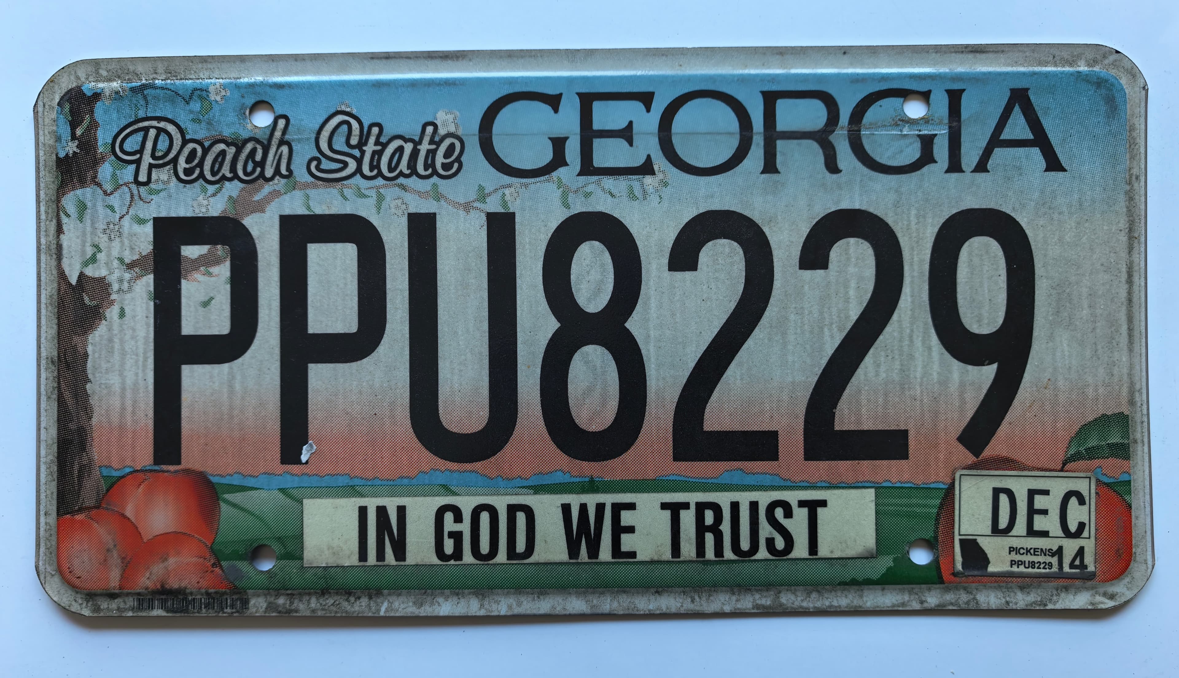 USA Kennzeichen - Georgia - PPU8229, view 1