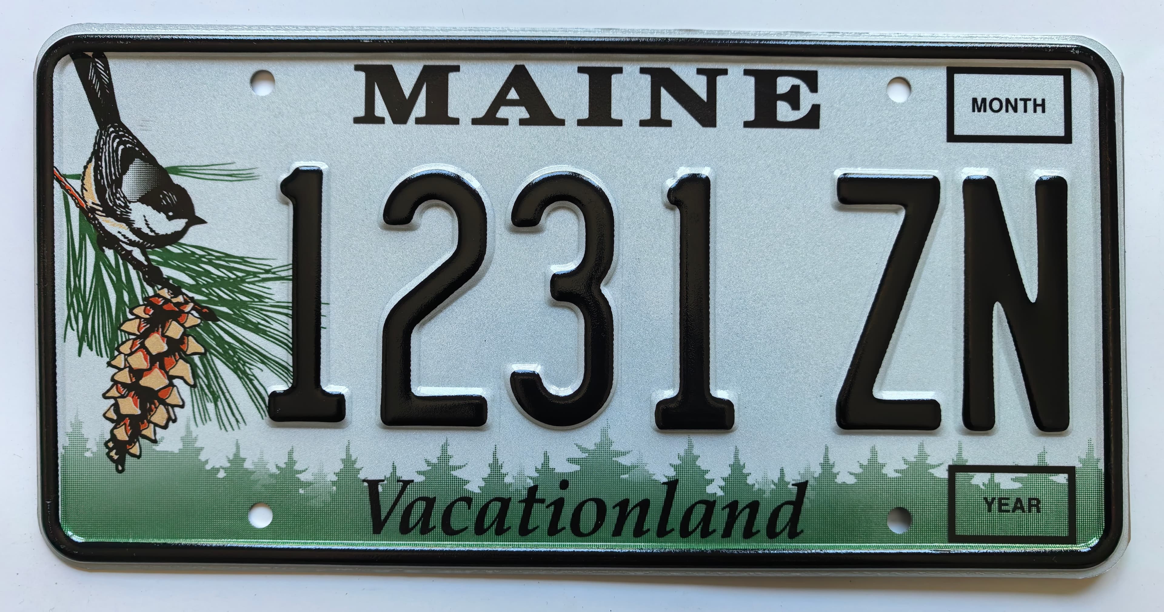 USA Kennzeichen - Maine - 1231 ZN, view 1