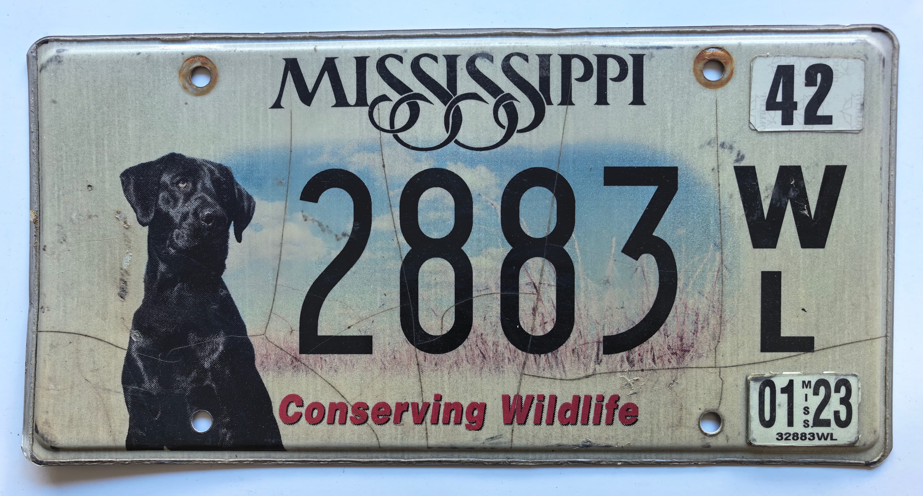 USA Kennzeichen - Mississippi - 2883WL, view 1