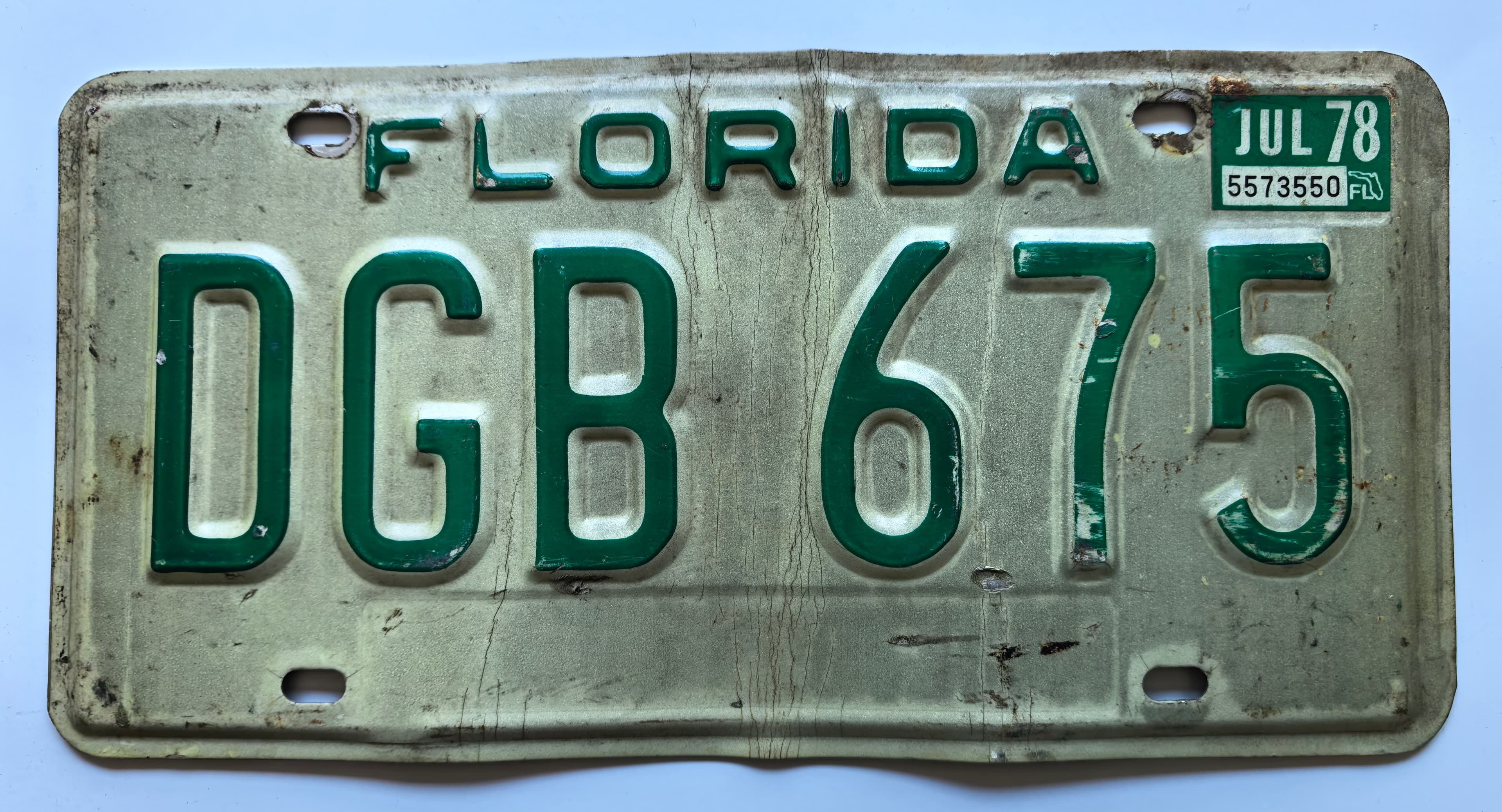 USA Kennzeichen - Florida - DGB 675, view 1