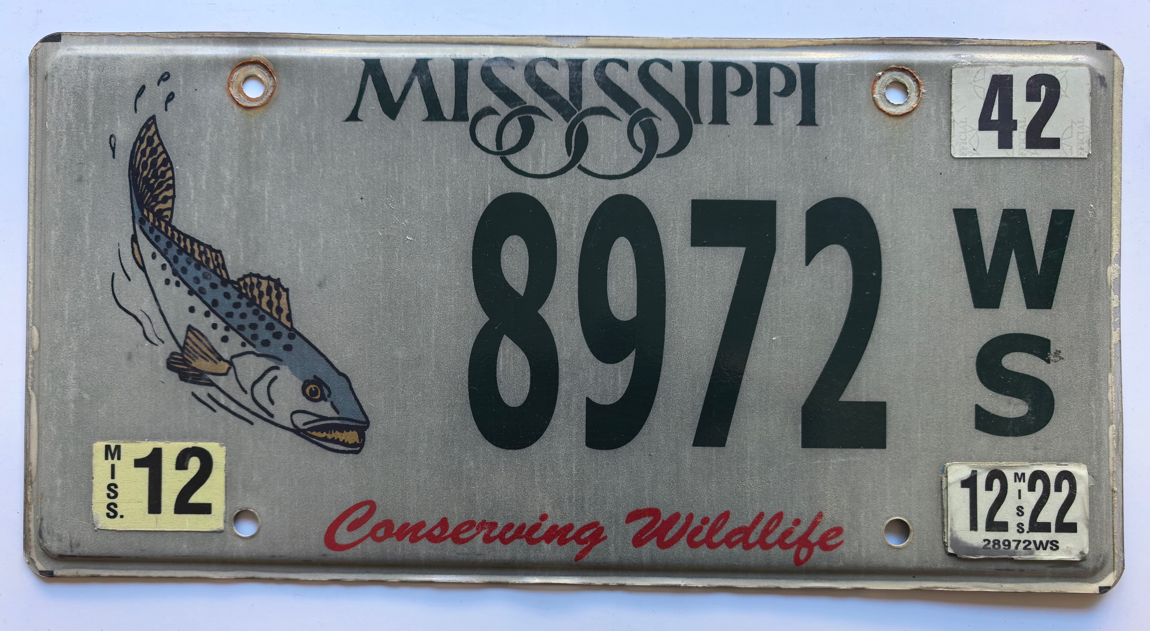 USA Kennzeichen - Mississippi - 8972 W/S, view 1