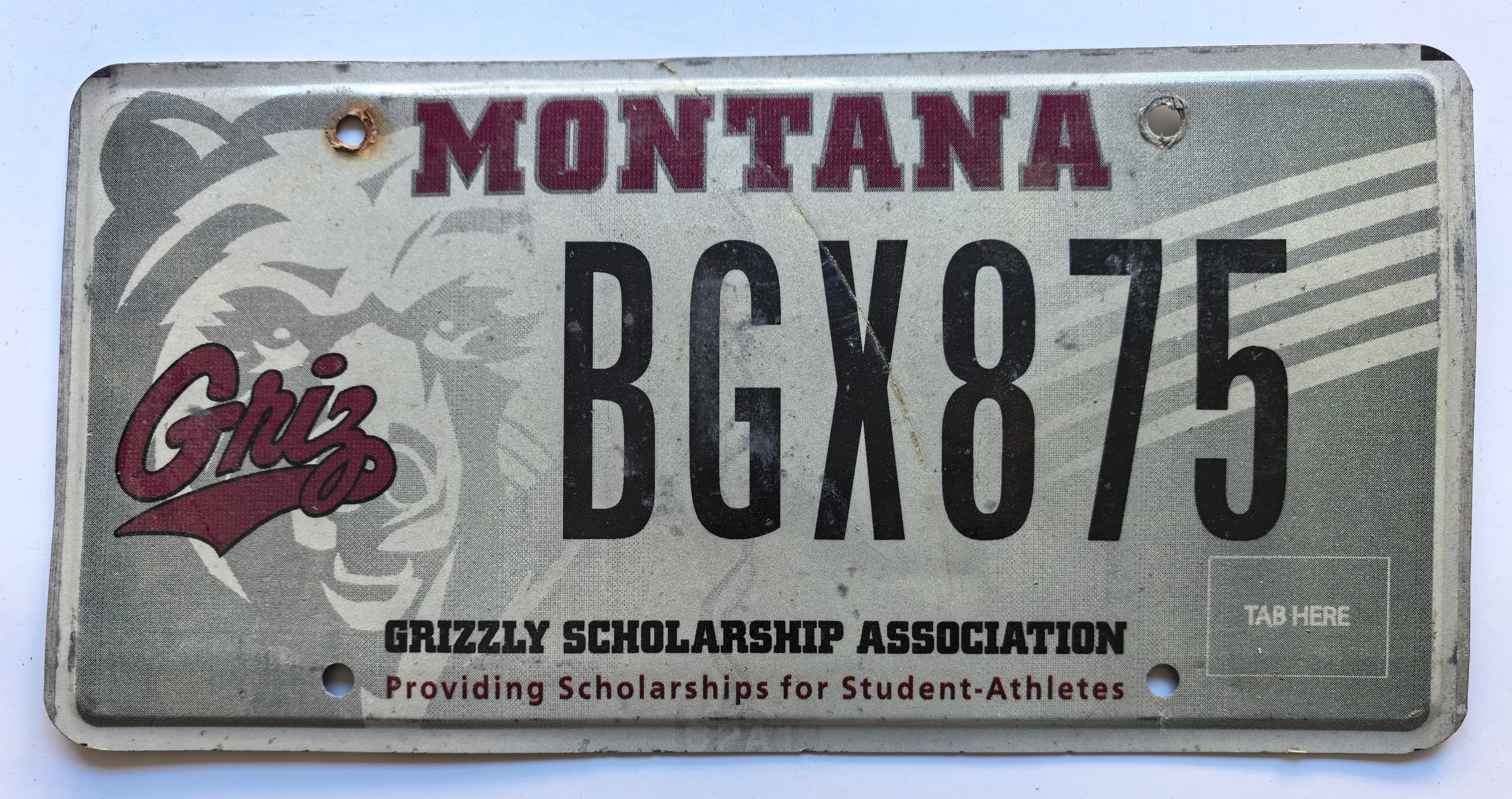 USA Kennzeichen - Montana - BGX875, view 1