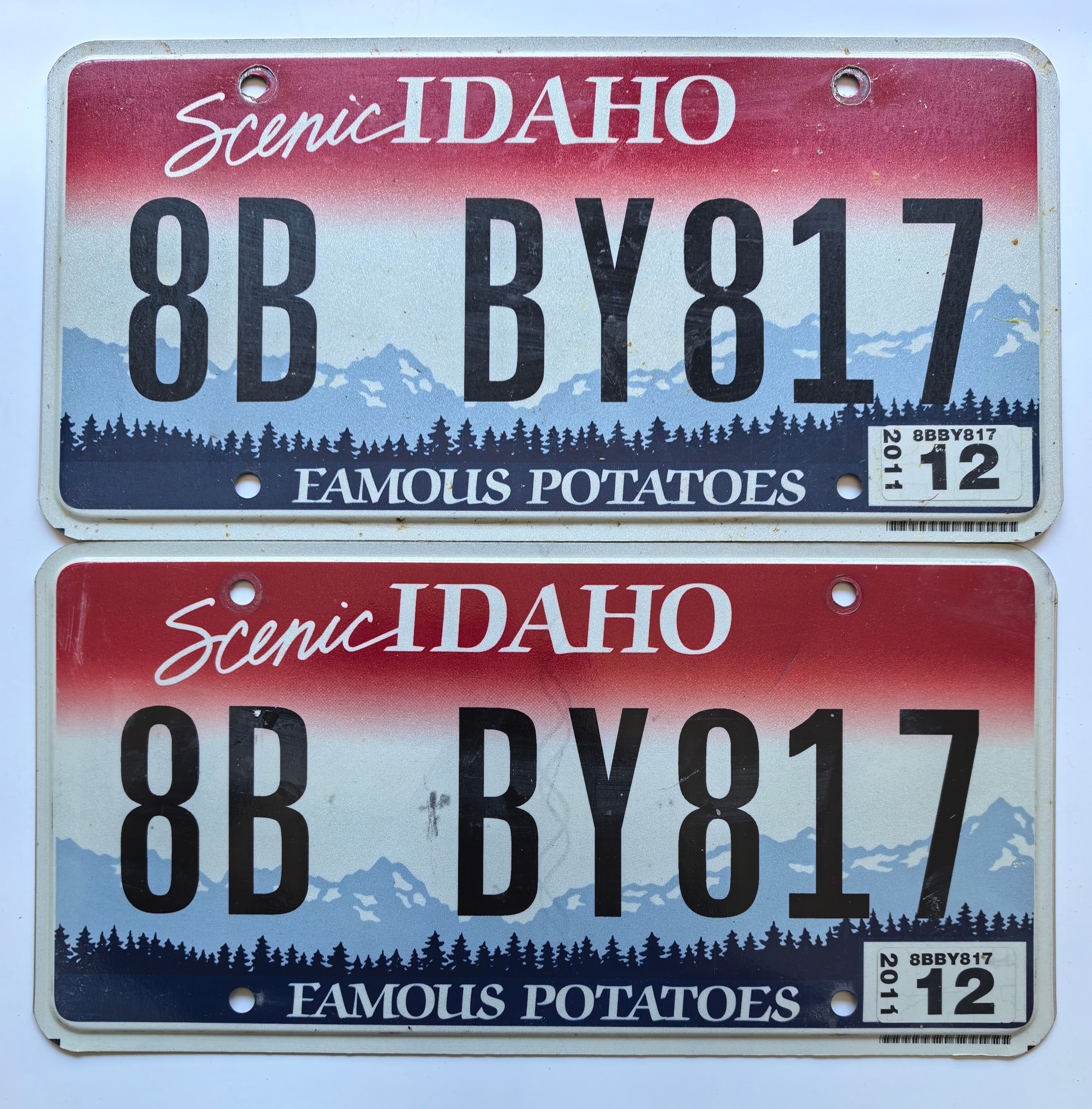 USA Kennzeichen - Idaho - 8B BY817, view 1