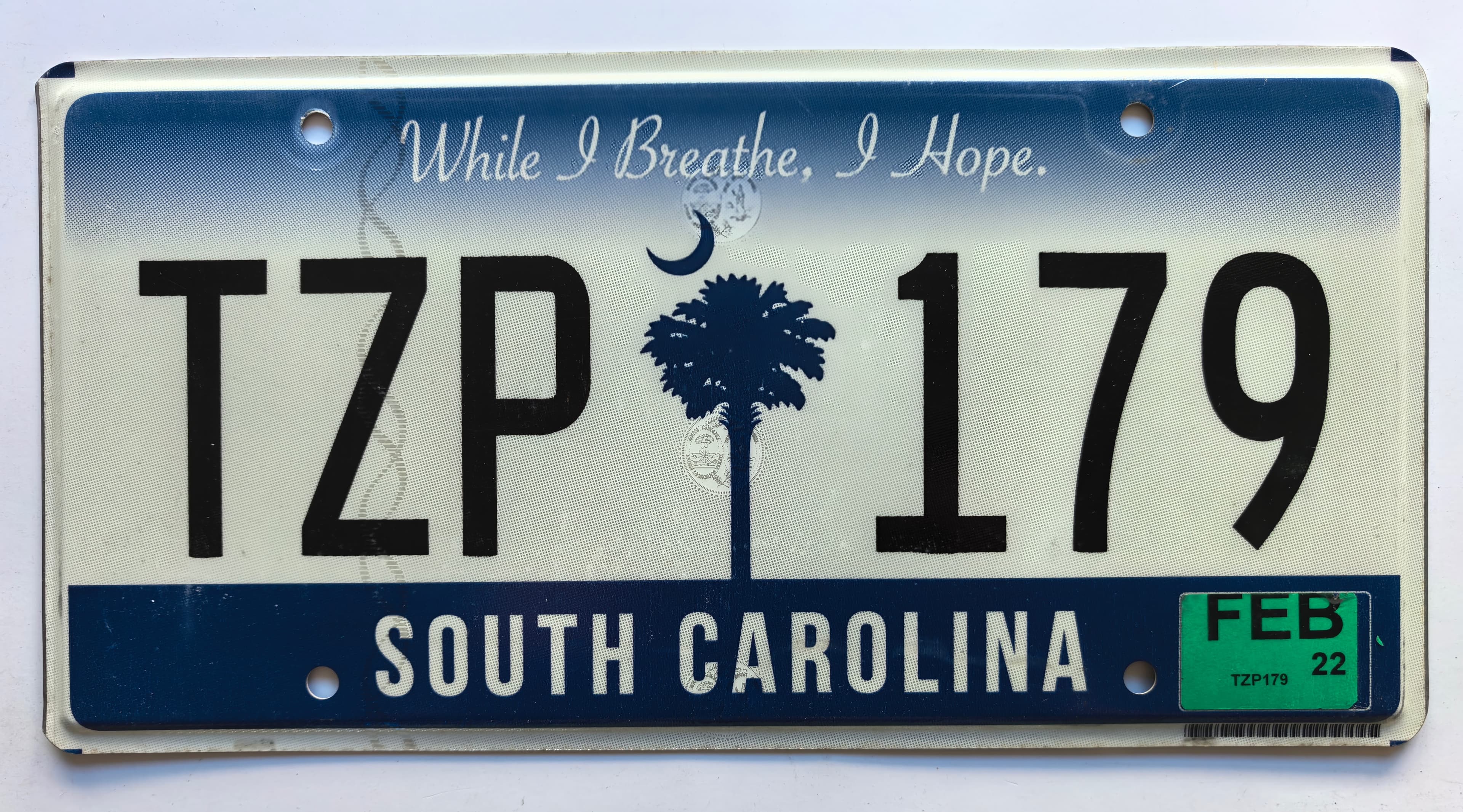 USA Kennzeichen - South Carolina - TZP 179, view 1