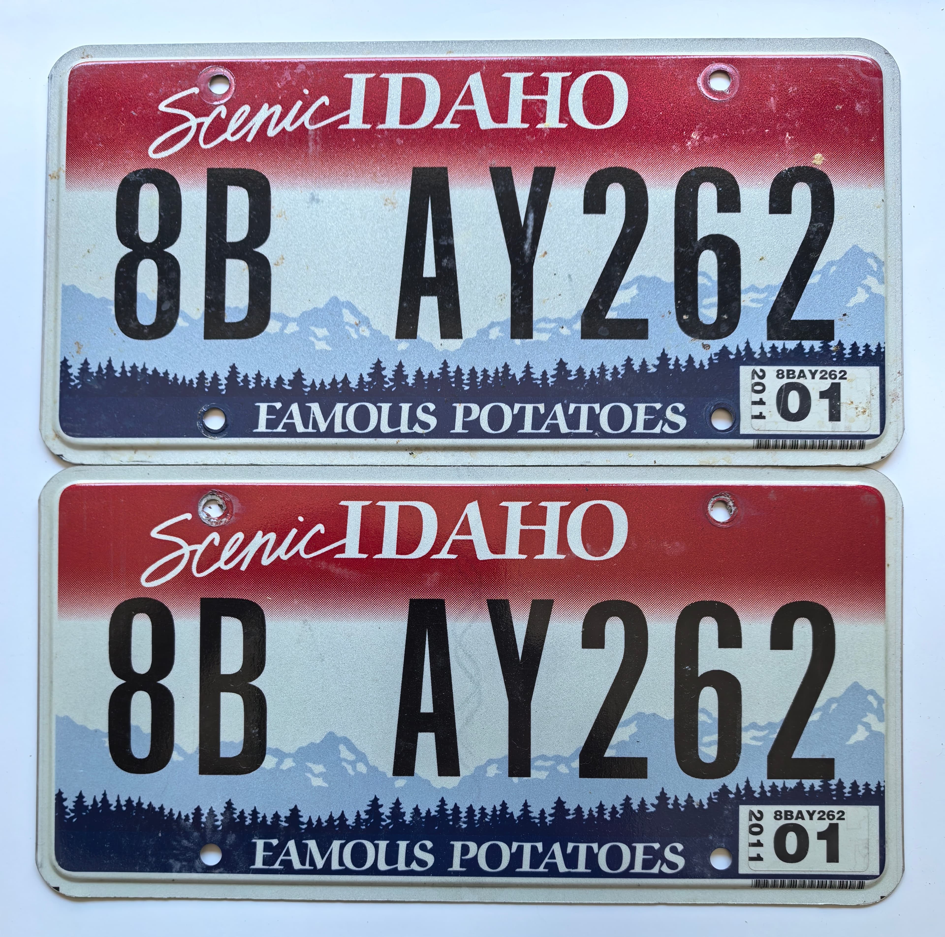 USA Kennzeichen - Idaho - 8B AY262, view 1
