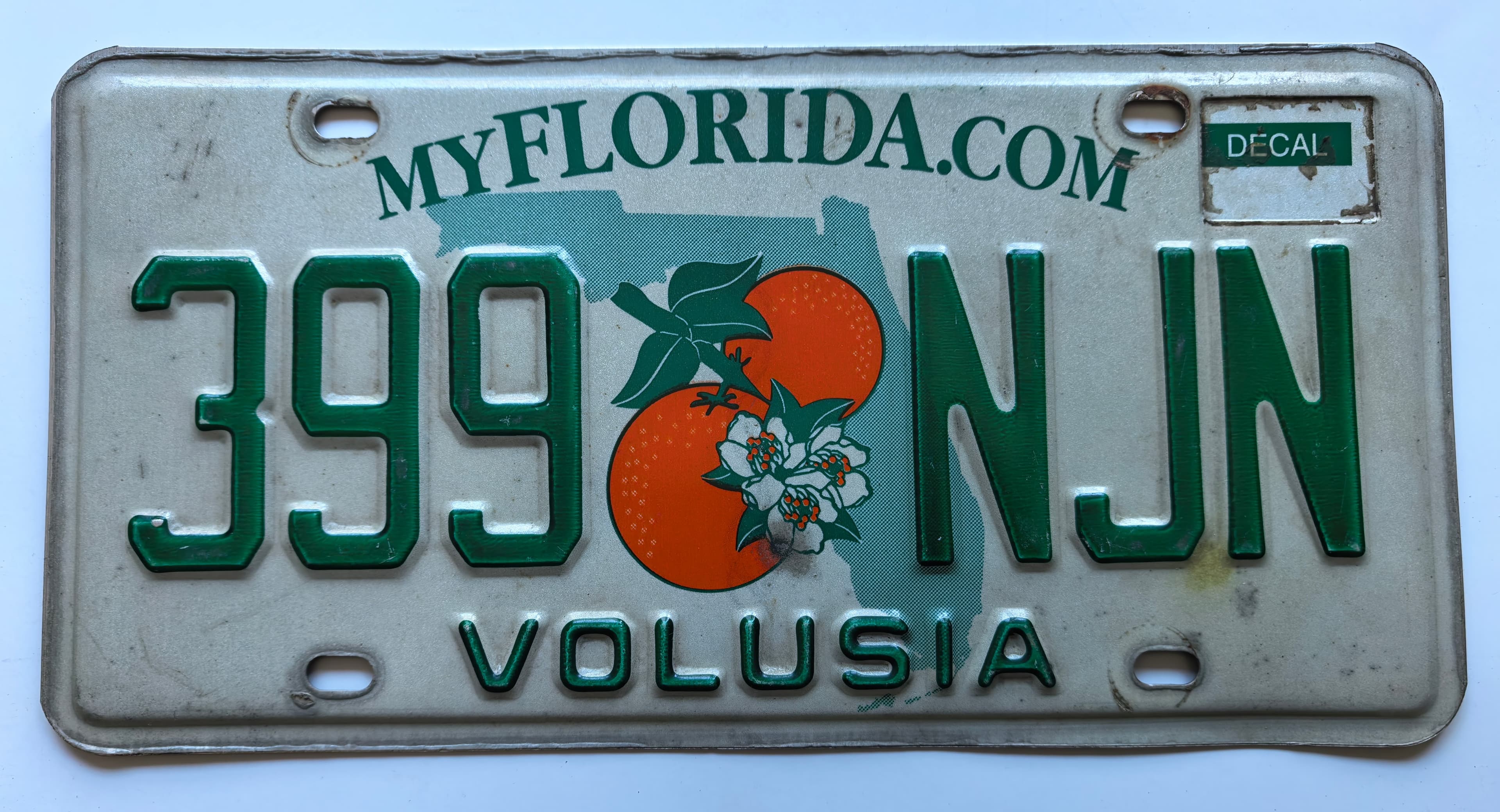 USA Kennzeichen - Florida - 399 NJN, view 1
