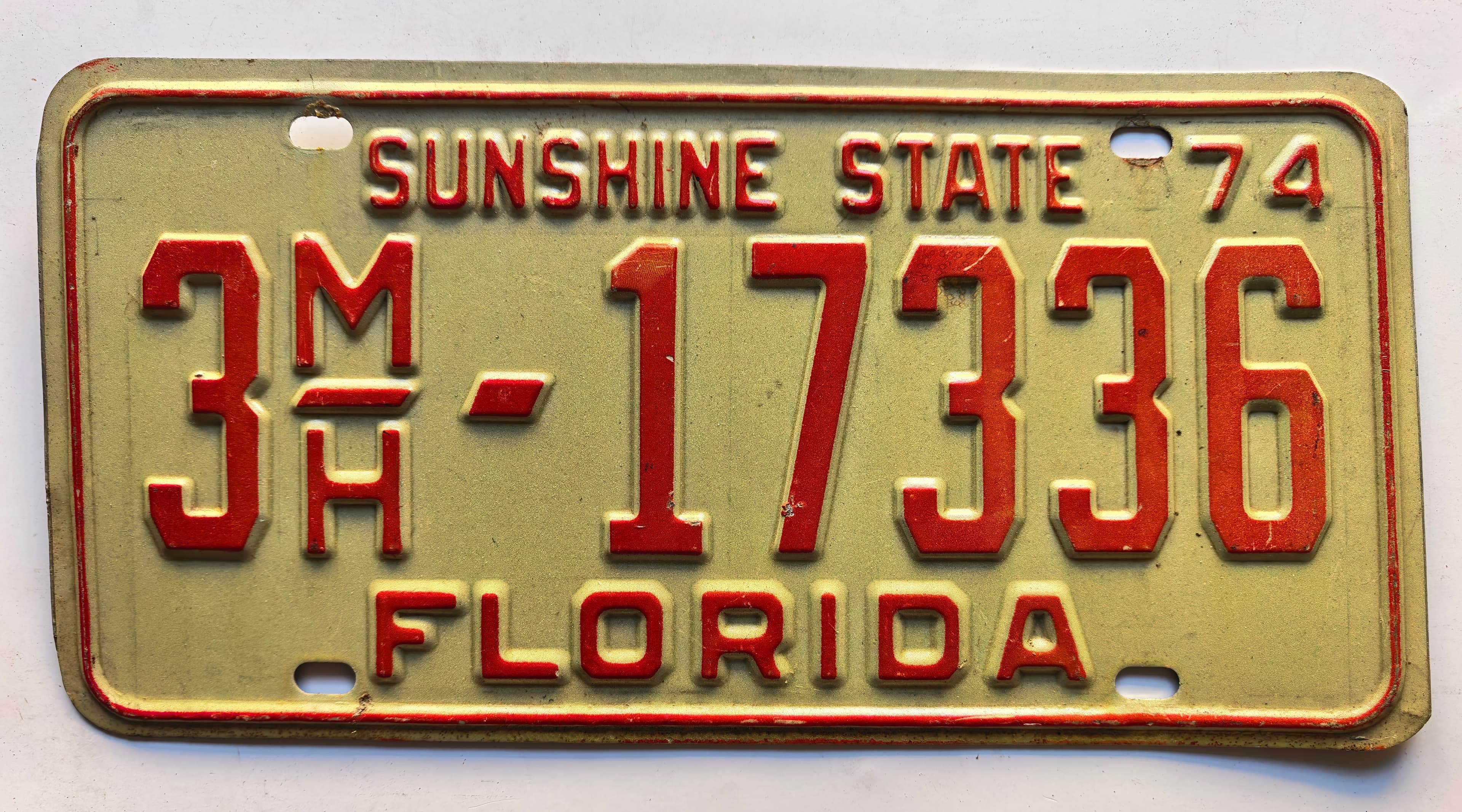 USA Kennzeichen - Florida - 3M/H-17336, view 1