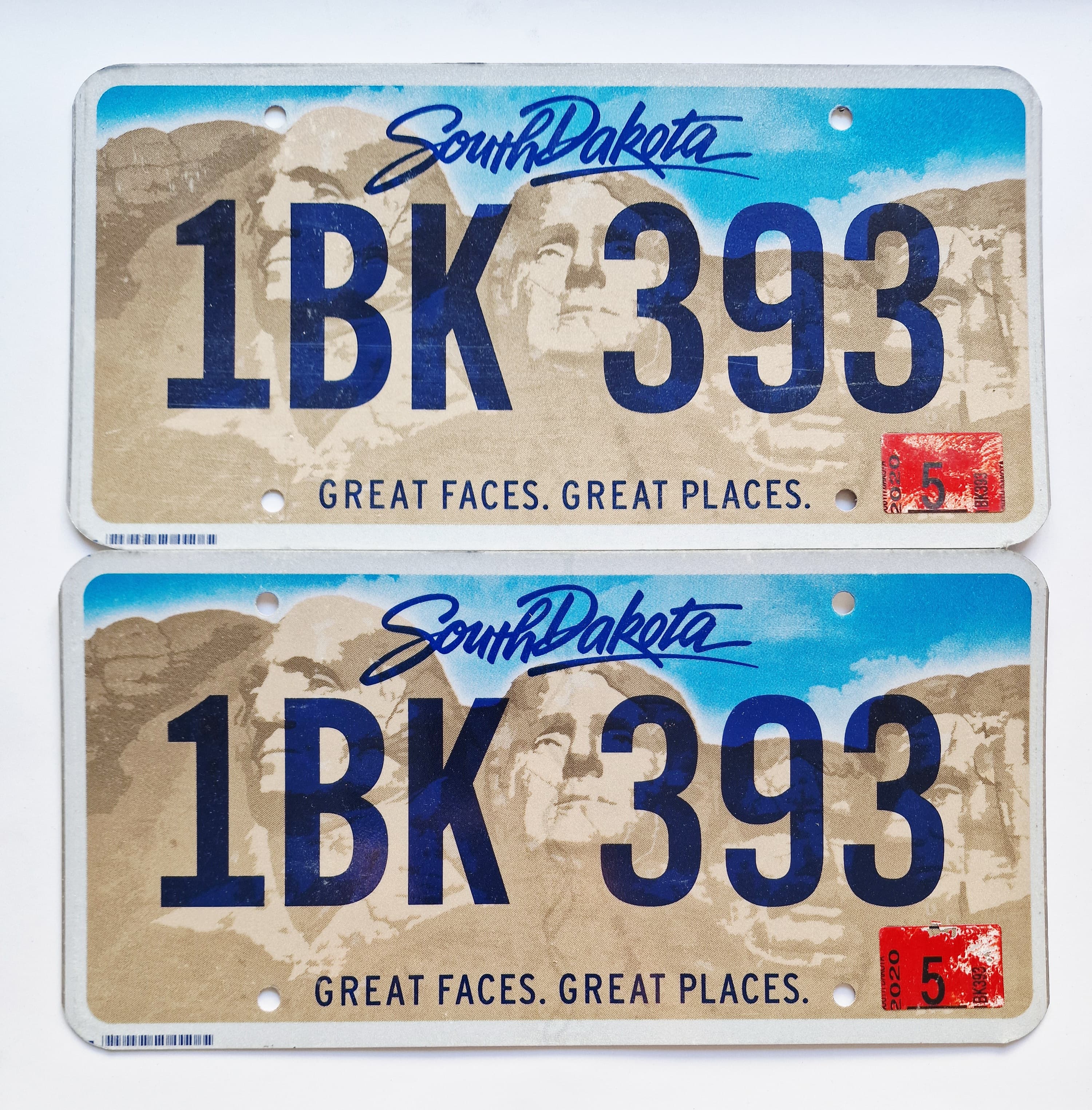 USA Kennzeichen - South Dakota - 1BK 393, view 1