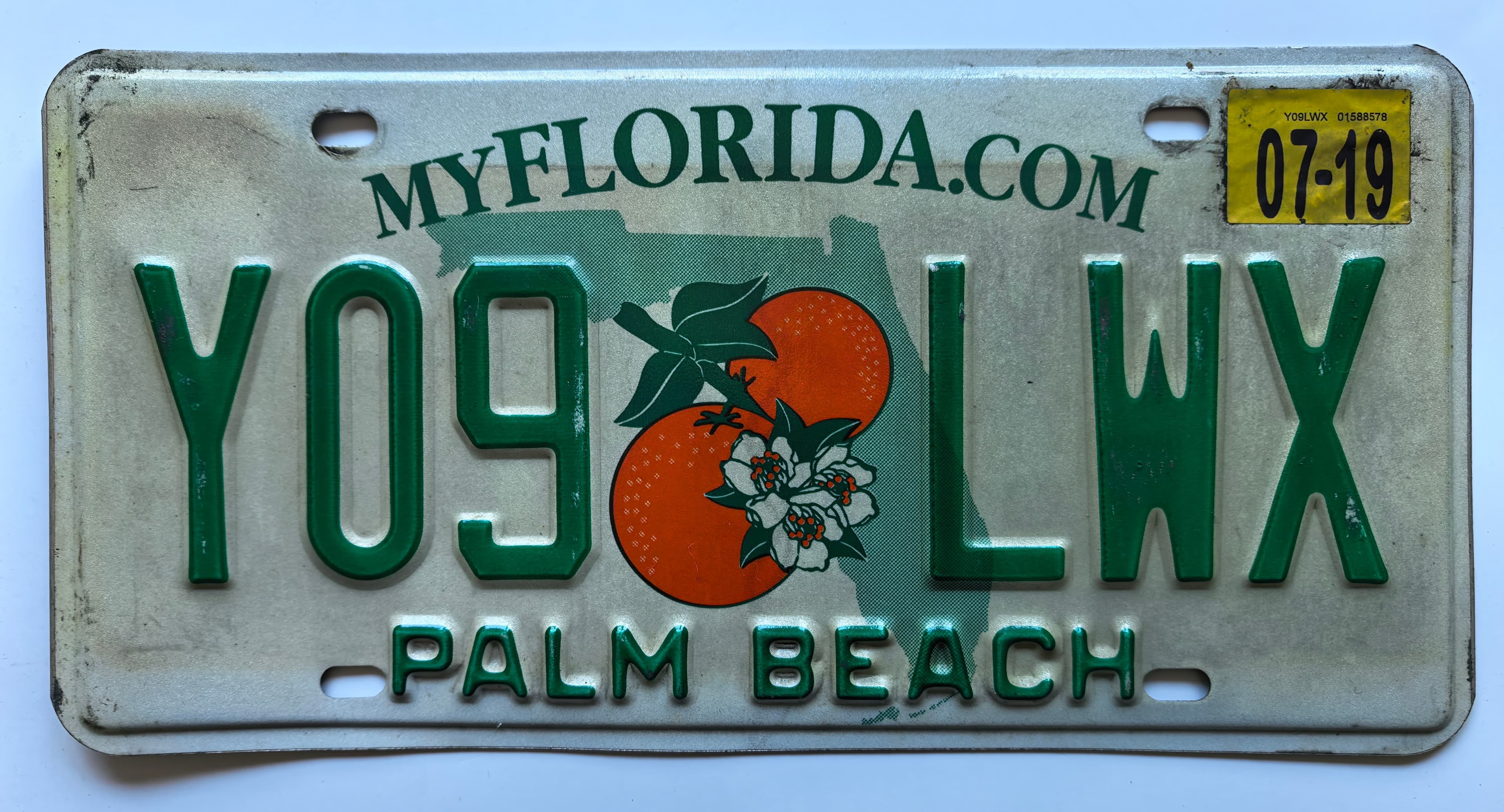 USA Kennzeichen - Florida - Y09 LWX, view 1