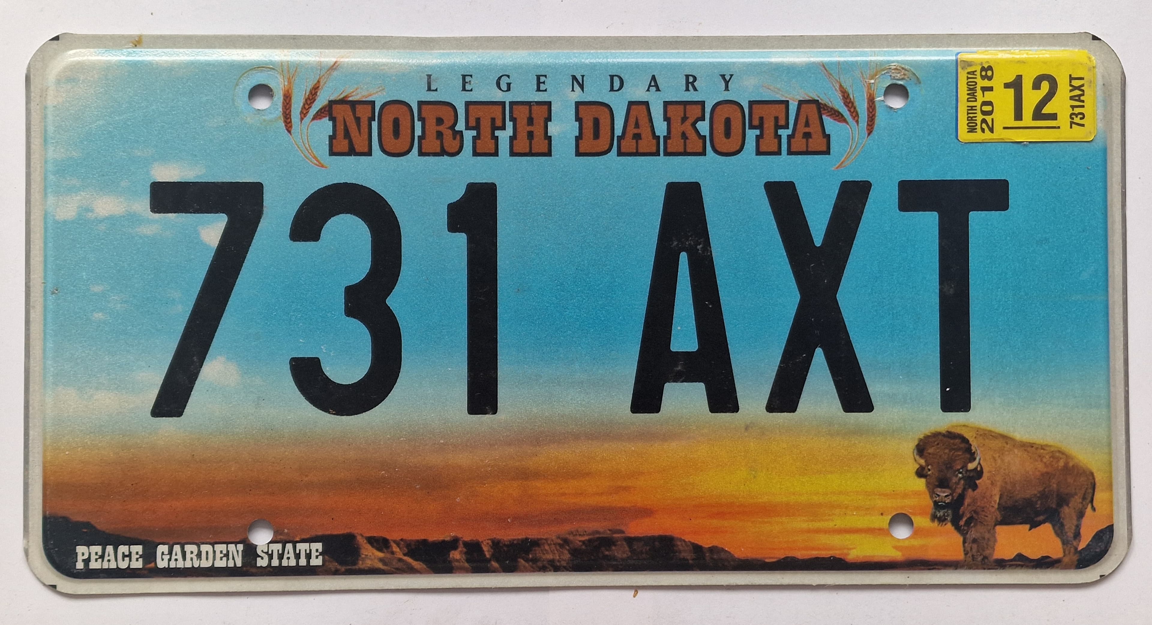 USA Kennzeichen - North Dakota - 731 AXT, view 1